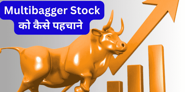 Multibagger Stock को कैसे पहचाने